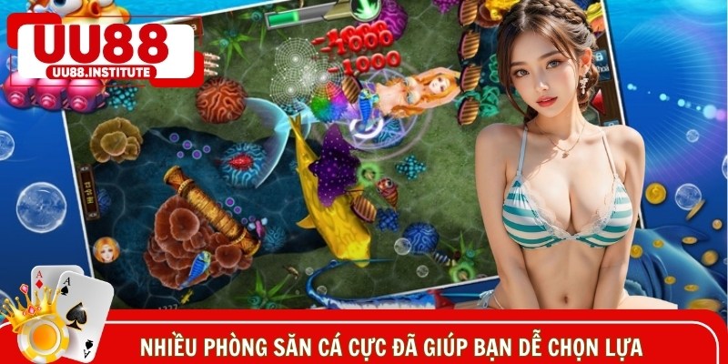 Nhiều phòng săn cá cực đã giúp bạn dễ chọn lựa